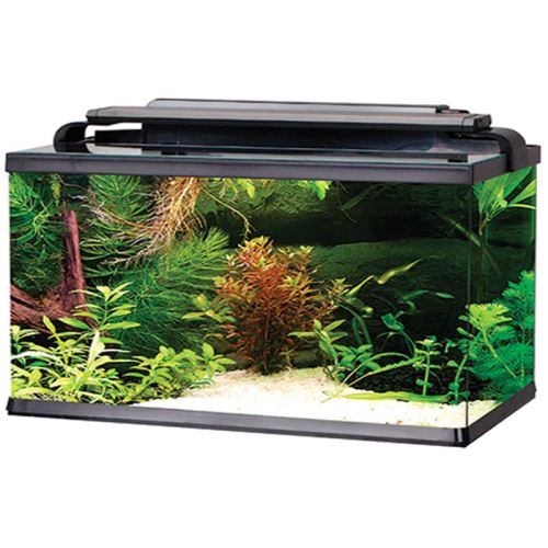 ACVARIU RECTANGULAR LED 15 L