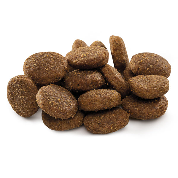 Brit Premium by Nature Junior XL 15 kg