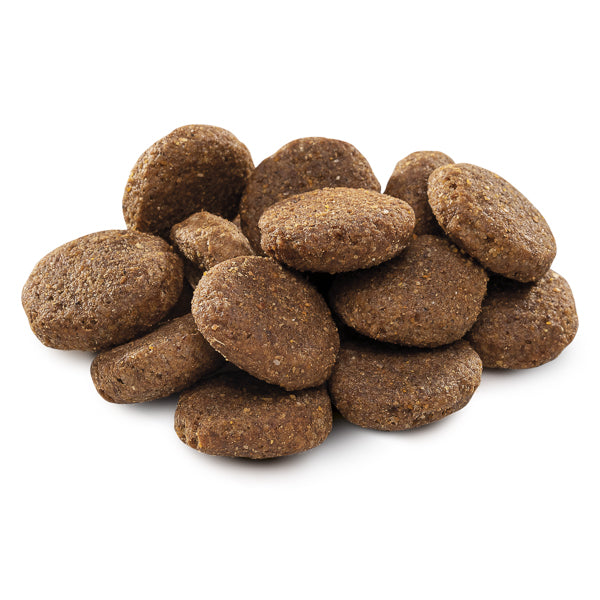 Brit Premium by Nature Senior L plus XL 15 kg