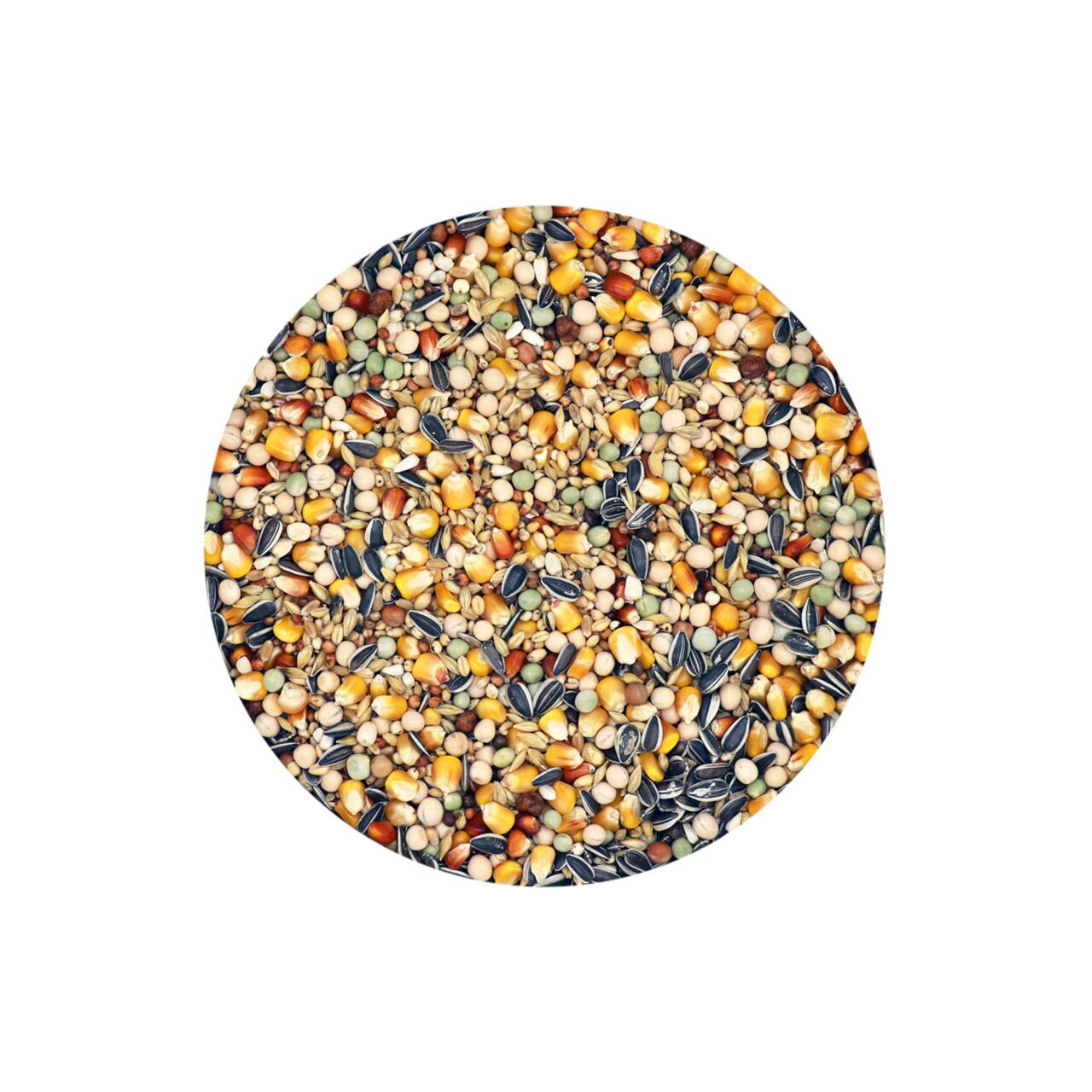 HRANA USCATA PENTRU PORUMBEI VERSELE LAGA CLASSIC ECO 20KG