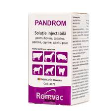 Pandrom Sol. inj. 100ml