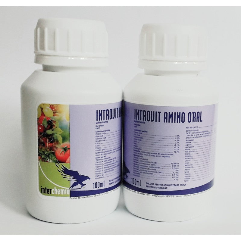 INTROVIT AMINO ORAL 100ML