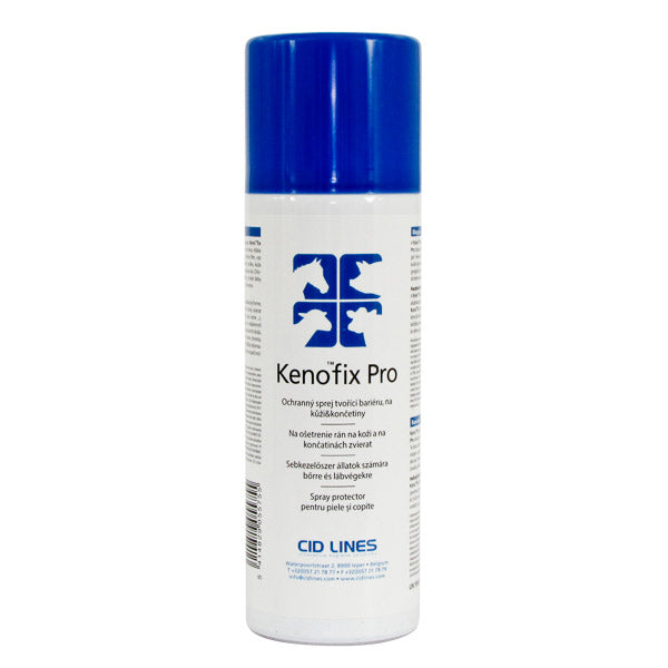 Kenofix Pro 300 ml Aerosol