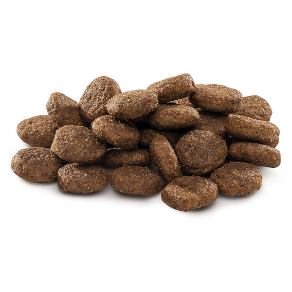 Brit Premium by Nature Adult L 15 kg