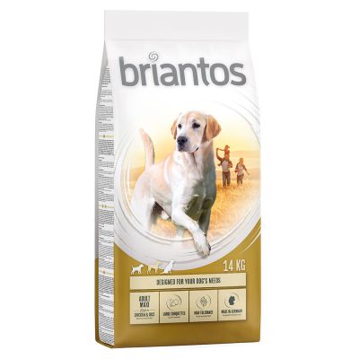 Briantos Adult Maxi