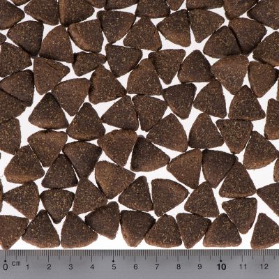 Briantos Adult Active