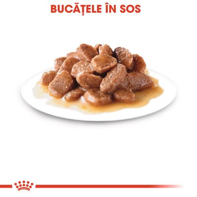 Royal Canin Instinctive în sos Hrană umedă