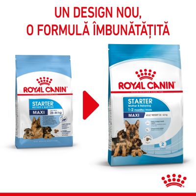 Royal Canin Maxi Starter Mother & Babydog Hrană uscată