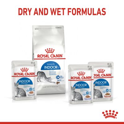 Royal Canin Indoor Sterilised în sos Hrană umedă