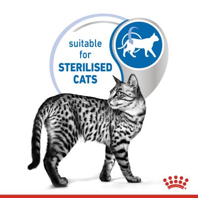 Royal Canin Indoor Sterilised în gelatină Hrană umedă