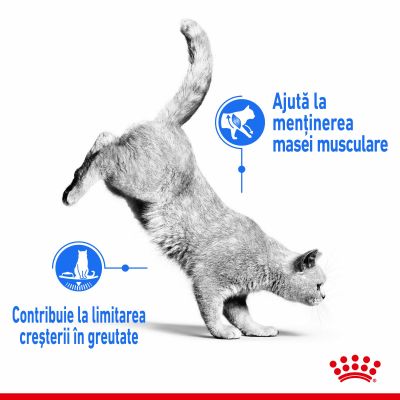 Royal Canin Light Weight Care în gelatină Hrană umedă