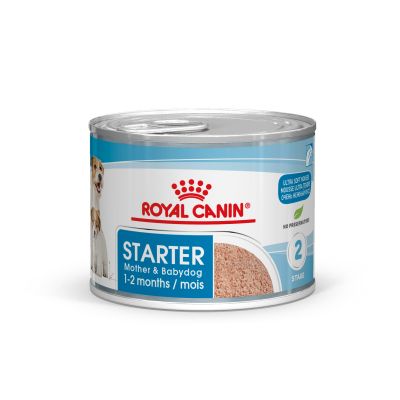 Royal Canin Starter Mousse Mother & Babydog Hrană umedă