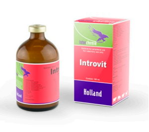 Introvit 100 ml