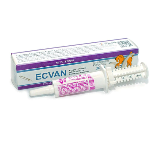 ECVAN SERINGA 20 ML