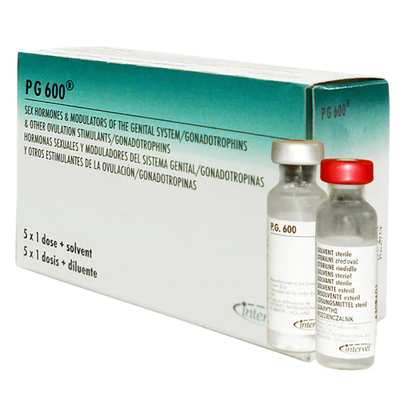 Pg 600 1dz + diluant 5ml