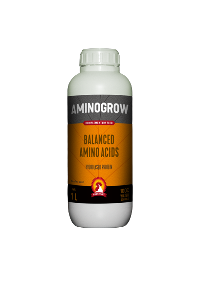 Aminogrow - pentru creștere și susținerea proceselor digestive, cu efect pozitiv asupra greutății 250 ml