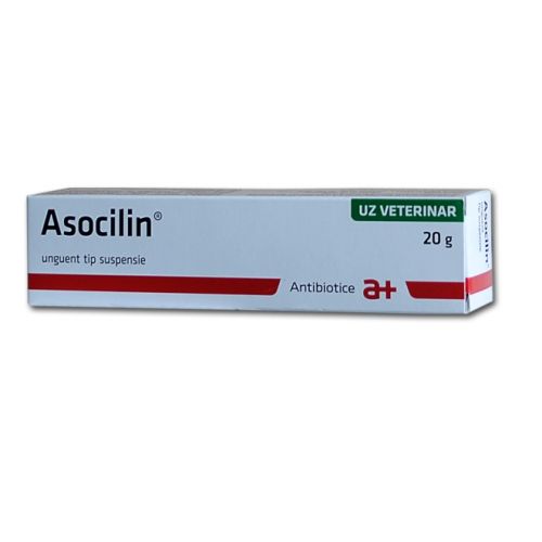 Asocilin 20 g