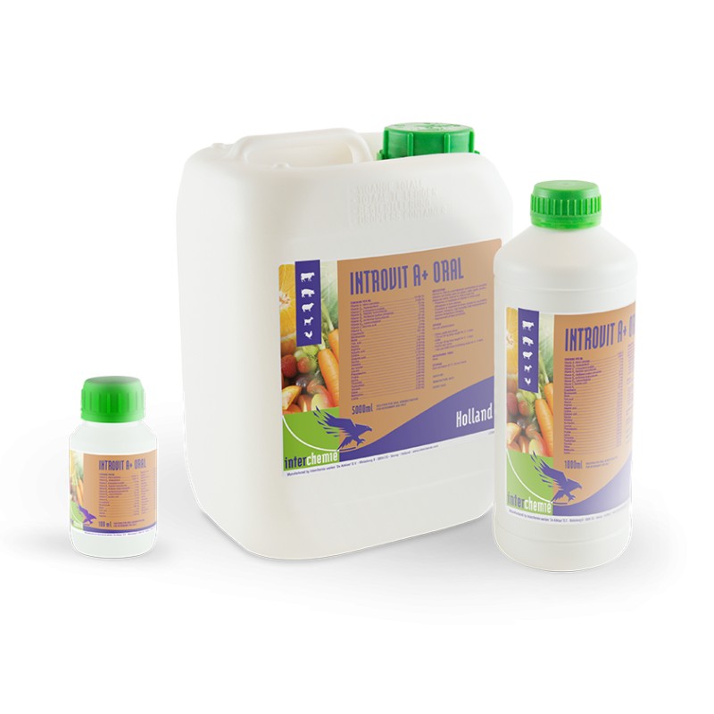 INTROVIT A+ ORAL 1L