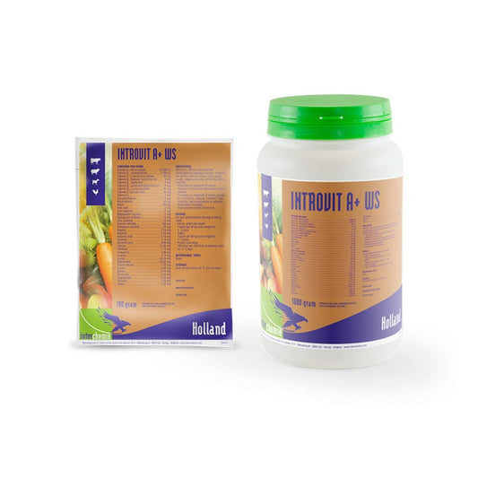 INTROVIT A+WS 1KG
