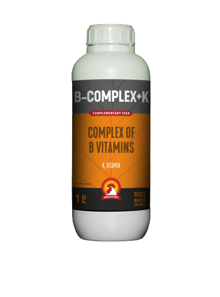 B-Complex + K - eficiență în metabolismul grăsimilor, proteinelor și carbohidrați - 250 ml