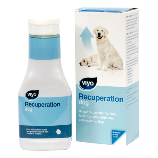 Viyo Recuperation Dog x 1 fl
