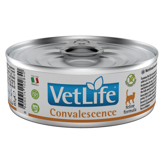 Vet Life Natural Diet Cat Convalescence conserva 85 gr