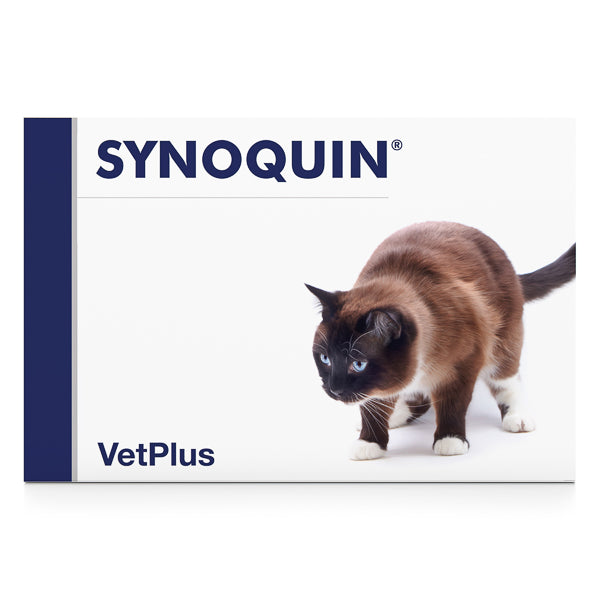 Synoquin Cat 30 capsule