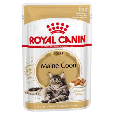 Royal Canin Breed Maine Coon Hrană umedă