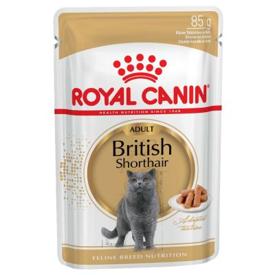 Royal Canin Breed British Shorthair Hrană umedă