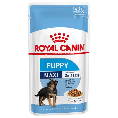 Royal Canin Maxi Puppy Hrană umedă
