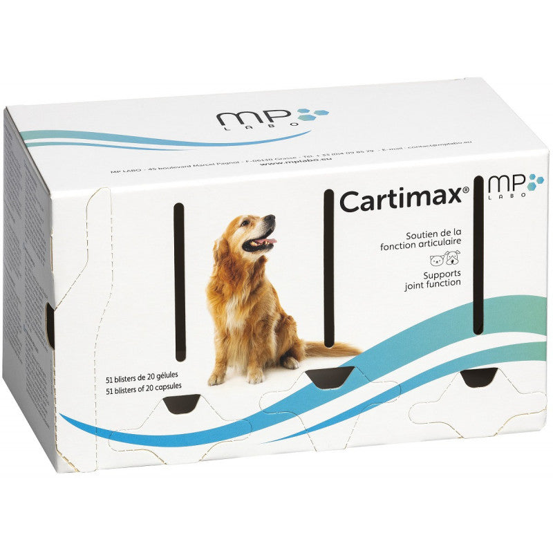 CARTIMAX blister x 20 capsule