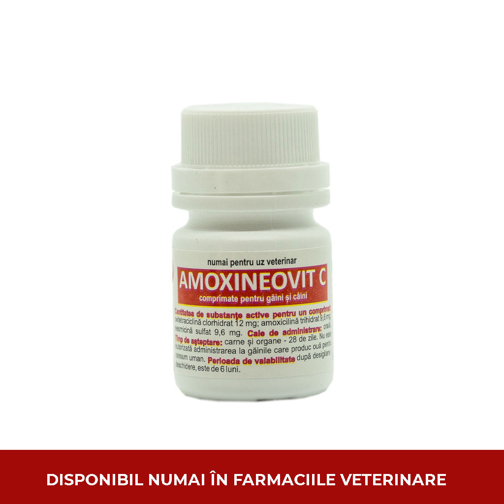 Amoxineovit C * 100 comprimate