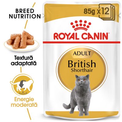 Royal Canin Breed British Shorthair Hrană umedă