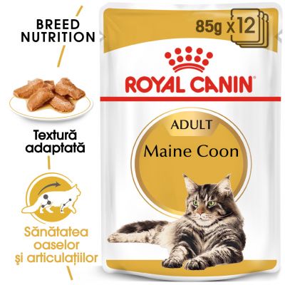Royal Canin Breed Maine Coon Hrană umedă