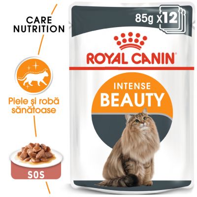 Royal Canin Intense Beauty în sos Hrană umedă