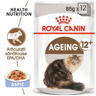 Royal Canin Ageing +12 în gelatină Hrană umedă