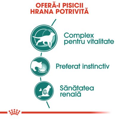 Royal Canin Instinctive +7 în sos Hrană umedă