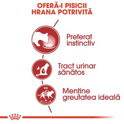 Royal Canin Instinctive Mousse Hrană umedă