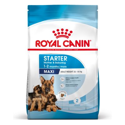 Royal Canin Maxi Starter Mother & Babydog Hrană uscată