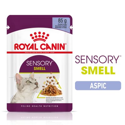 Royal Canin Sensory Smell în gelatină