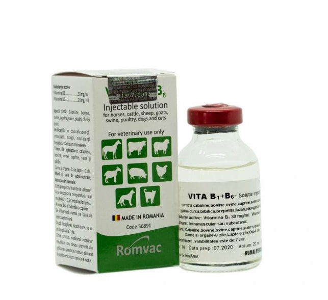 Vitamina B1+B6 20ml